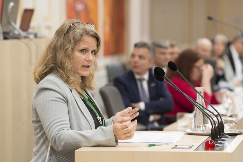 Panel 3. Am Rednerpult: Ulla Rasmussen