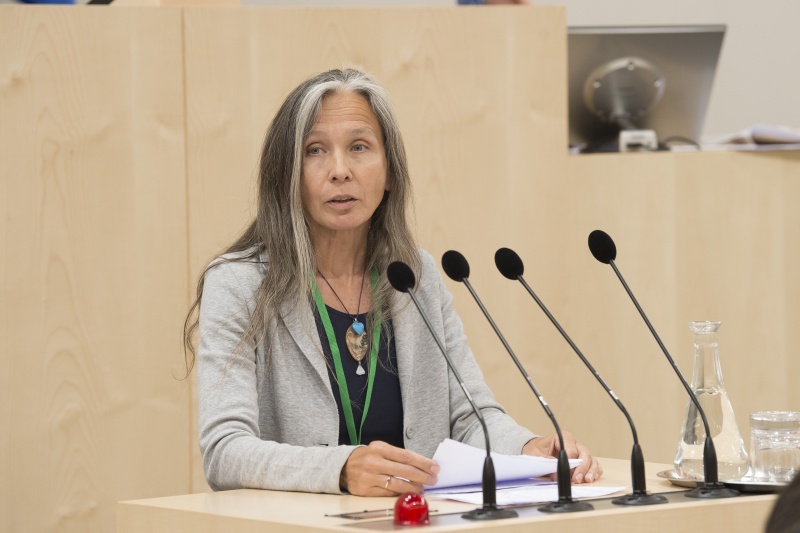 Panel 3. Am Rednerpult: Nadja Shah