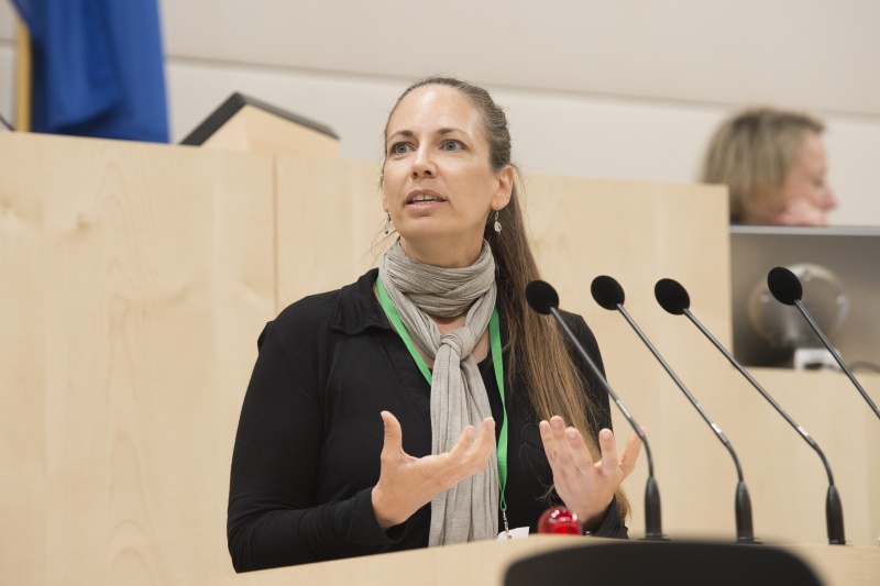 Panel 3. Am Rednerpult: Doris Österreicher