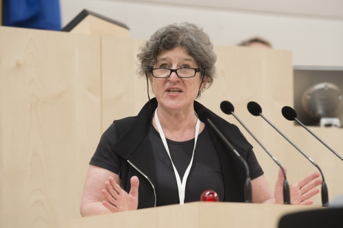 Am Rednerpult: Kammer der ZiviltechnikerInnen Ursula Schneider
