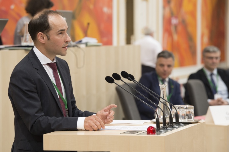 Panel 1. Am Rednerpult: Gunnar Luderer