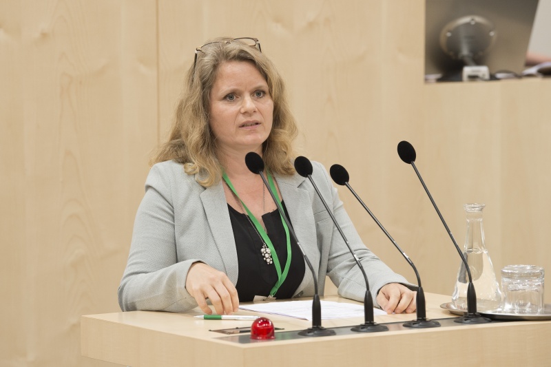 Panel 3. Am Rednerpult: Ulla Rasmussen