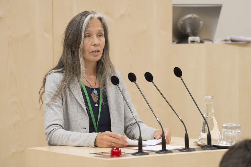 Panel 3. Am Rednerpult: Nadja Shah