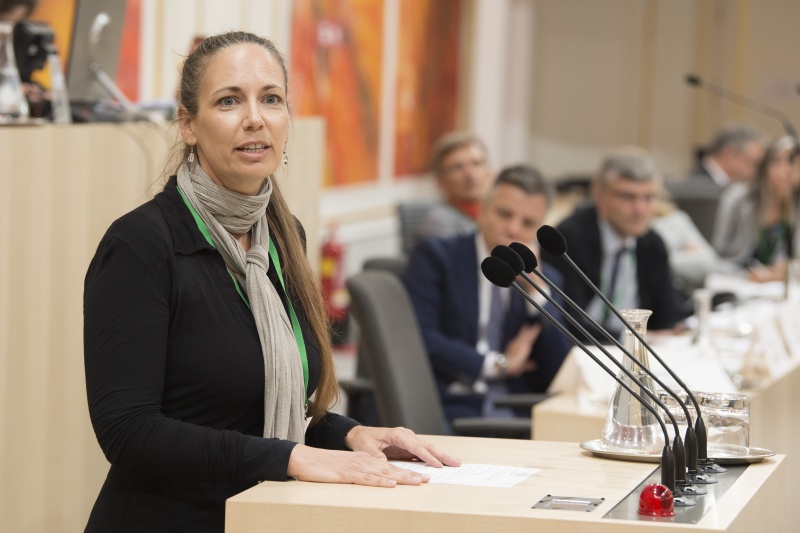 Panel 3. Am Rednerpult: Doris Österreicher