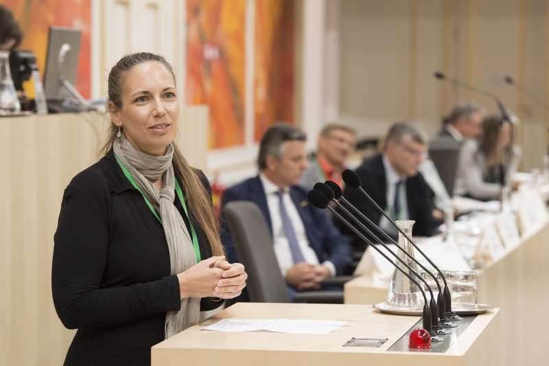 Panel 3. Am Rednerpult: Doris Österreicher