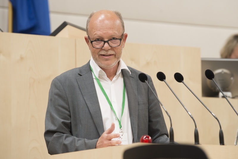 Panel 3. Am Rednerpult: Günter Lang