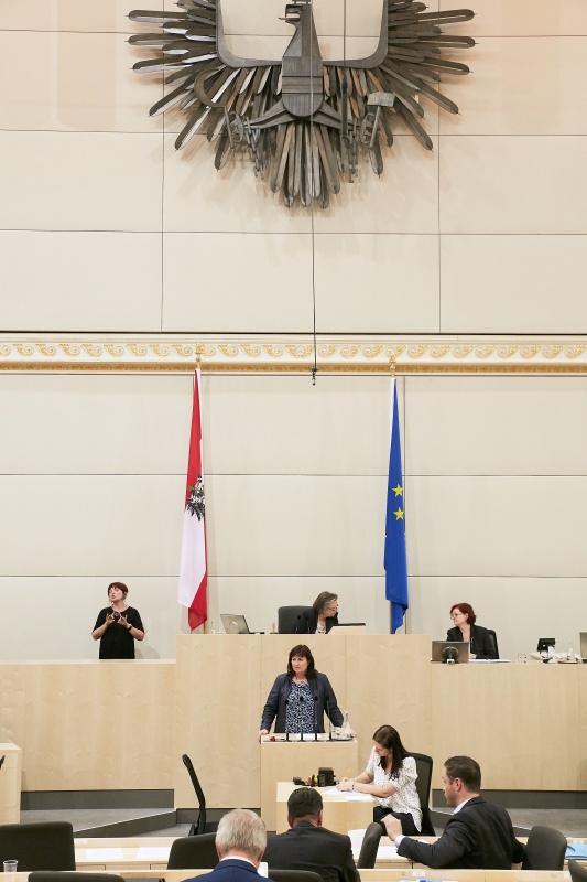 Nationalratsabgeordnete Petra Wimmer (S). Am Präsidium Dritte Natinalratspräsidentin Anneliese Kitzmüller (F)