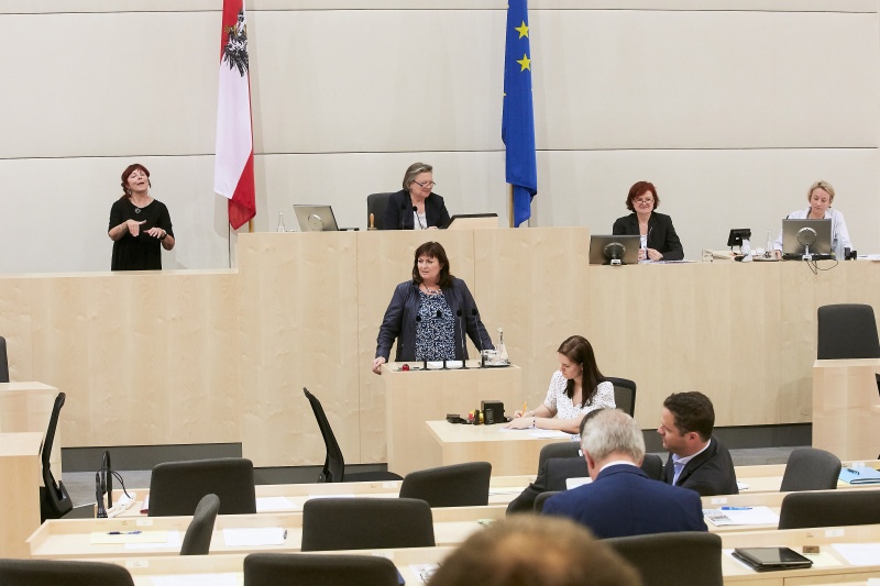 Nationalratsabgeordnete Petra Wimmer (S). Am Präsidium Dritte Natinalratspräsidentin Anneliese Kitzmüller (F)