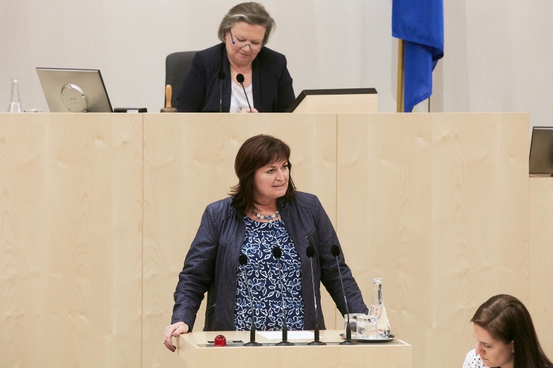 Nationalratsabgeordnete Petra Wimmer (S). Am Präsidium Dritte Natinalratspräsidentin Anneliese Kitzmüller (F)