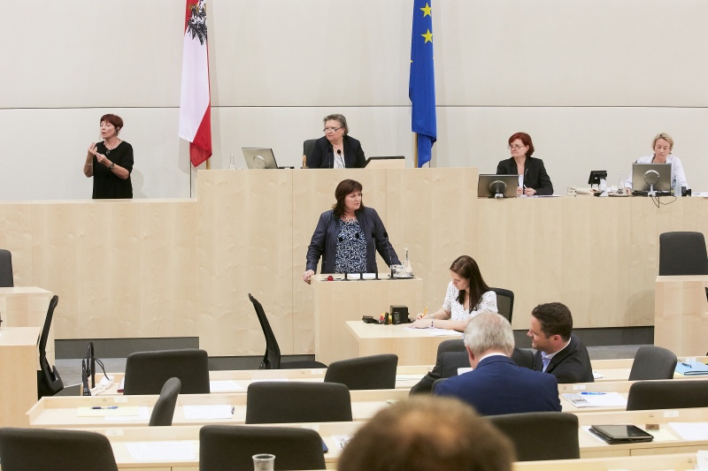 Nationalratsabgeordnete Petra Wimmer (S). Am Präsidium Dritte Natinalratspräsidentin Anneliese Kitzmüller (F)