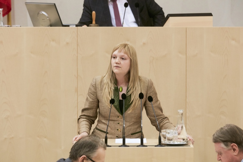 Nationalratsabgeordnete Elisabeth Feichtinger (S)