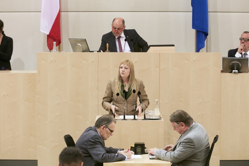 Nationalratsabgeordnete Elisabeth Feichtinger (S)