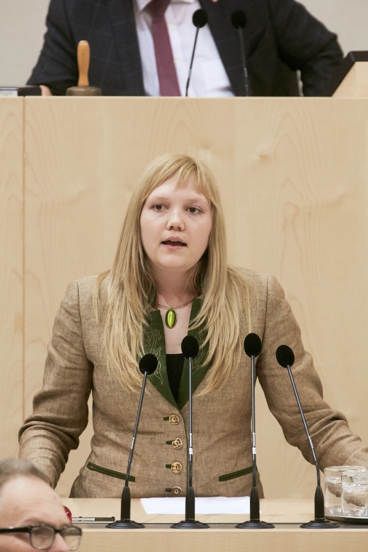 Nationalratsabgeordnete Elisabeth Feichtinger (S)