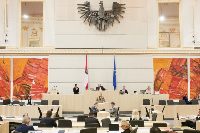 Nationalratsabgeordnete Elisabeth Feichtinger (S)