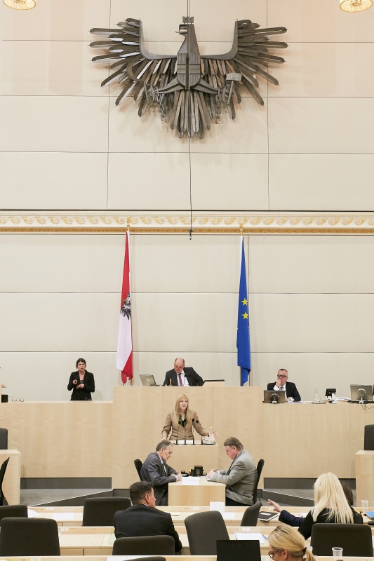 Nationalratsabgeordnete Elisabeth Feichtinger (S)