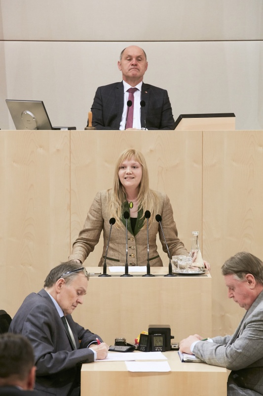 Nationalratsabgeordnete Elisabeth Feichtinger (S)
