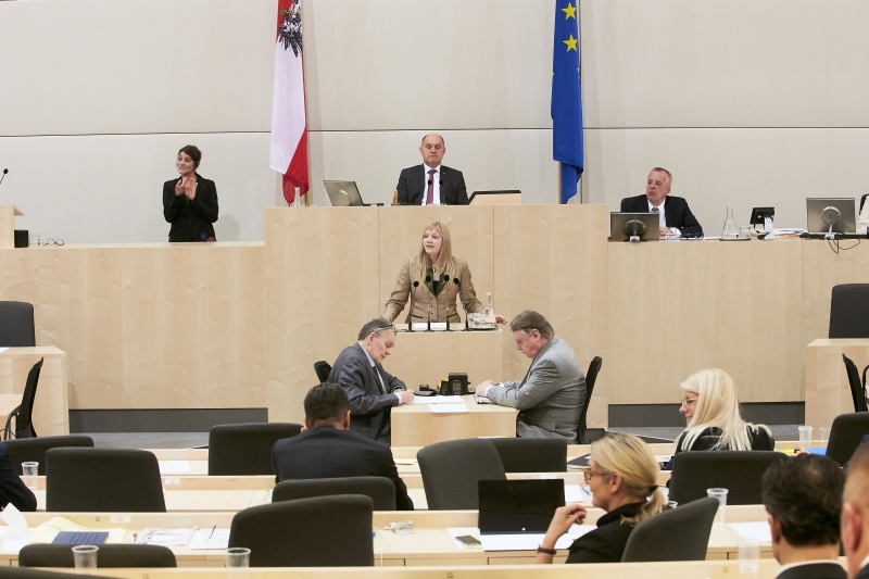 Nationalratsabgeordnete Elisabeth Feichtinger (S)