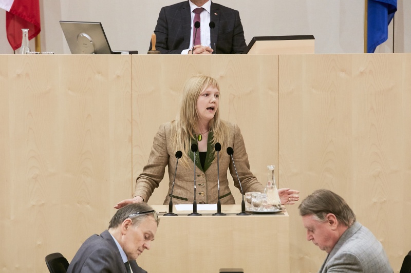 Nationalratsabgeordnete Elisabeth Feichtinger (S)