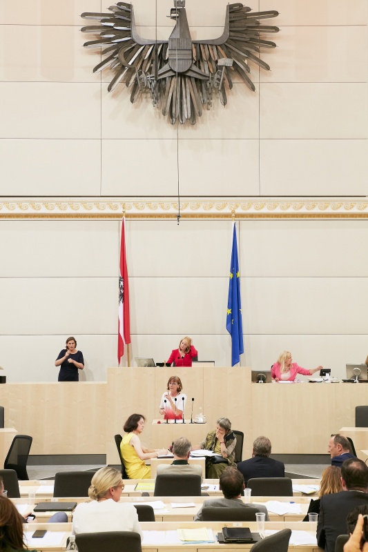 Am Rednerpult: Nationalratsabgeordnete Andrea Michaela Schartel (F)