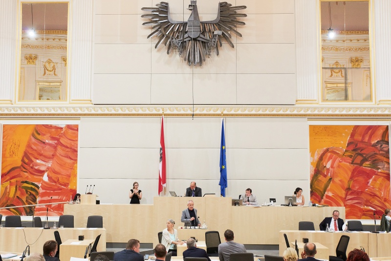 Am Rednerpult: Nationalratsabgeordneter Peter Pilz (P)