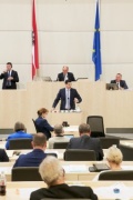 Am Rednerpult: Nationalratsabgeordneter Hannes Amesbauer (F)