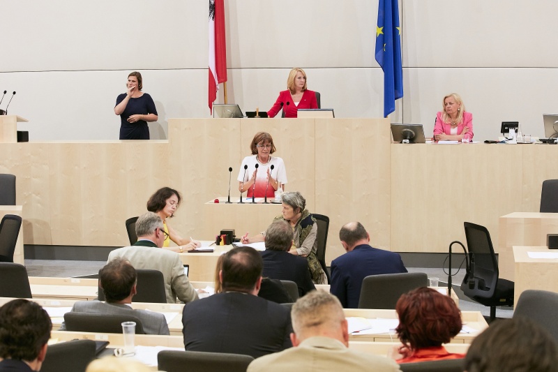 Am Rednerpult: Nationalratsabgeordnete Andrea Michaela Schartel (F)