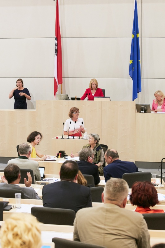 Am Rednerpult: Nationalratsabgeordnete Andrea Michaela Schartel (F)