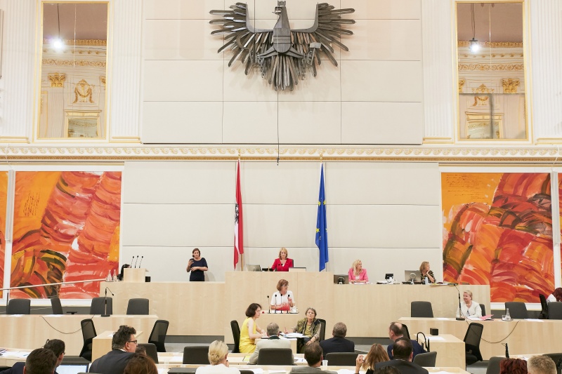 Am Rednerpult: Nationalratsabgeordnete Andrea Michaela Schartel (F)