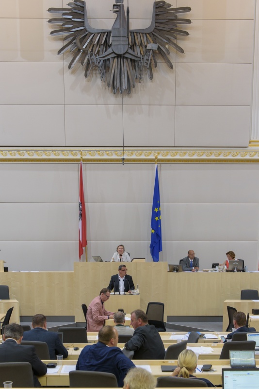 Am Rednerpult: Nationalratsabgeordneter Christian Pewny (F)