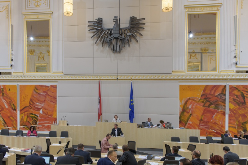 Am Rednerpult: Nationalratsabgeordneter Christian Pewny (F)