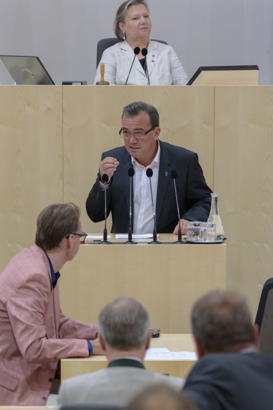 Am Rednerpult: Nationalratsabgeordneter Christian Pewny (F)