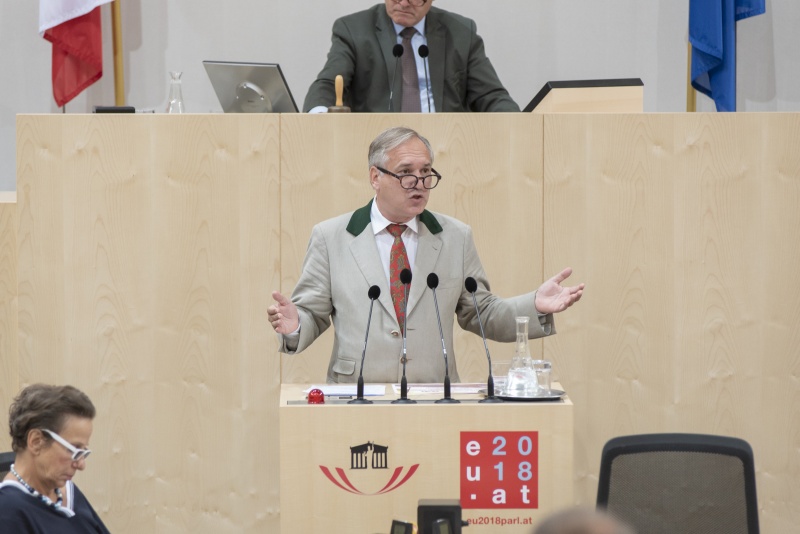 Nationalratsabgeordneter Walter Rosenkranz (F) am Rednerpult