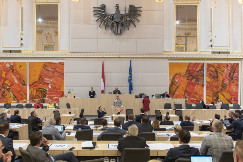 Nationalratsabgeordneter Walter Rosenkranz (F) am Rednerpult: Blick Richtung SitzungsteilnehmerInnen