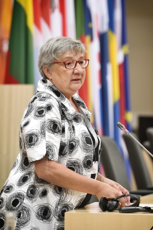 Bundesratspräsidentin Inge Posch-Gruska (S) am Wort