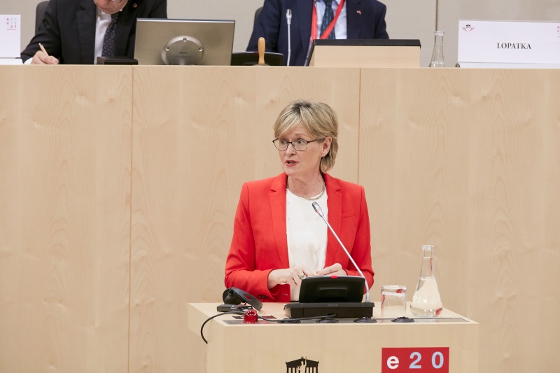 Rede Vizepräsidentin des Europäischen Parlaments Mairead Mc Guinness