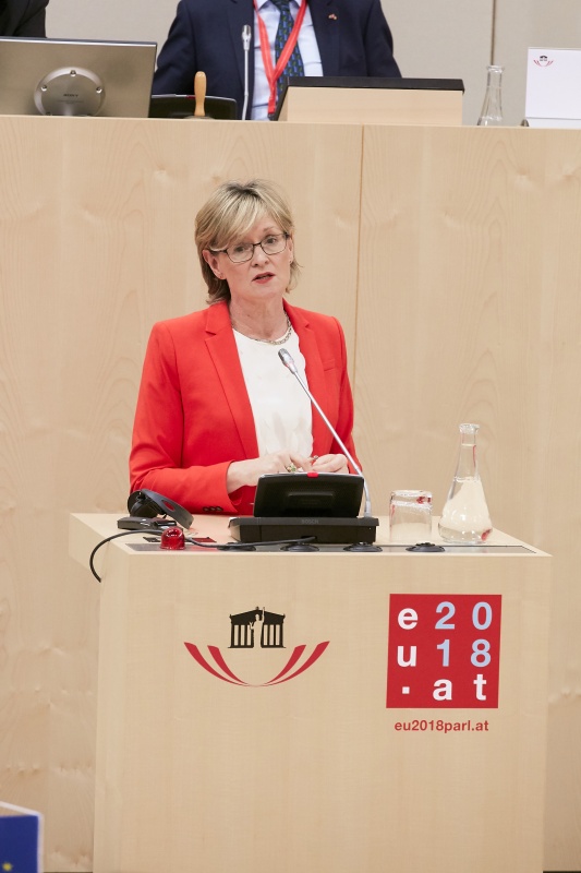 Rede Vizepräsidentin des Europäischen Parlaments Mairead Mc Guinness