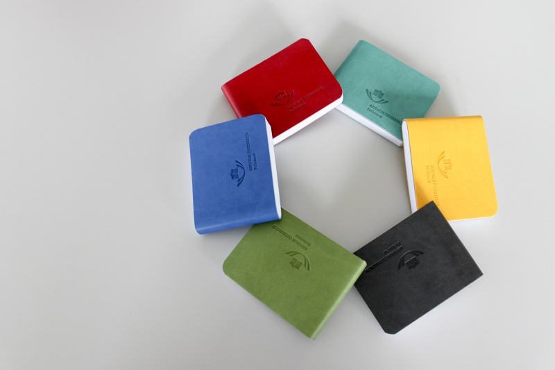 Notizbuch Reflexa Mini
