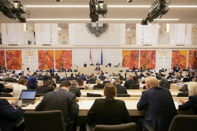 Nationalratsabgeordneter Kai Jan Krainer (S) bei der Begründung der Anfrage