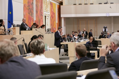 Nationalratsabgeordneter Kai Jan Krainer (S) bei der Begründung der Anfrage