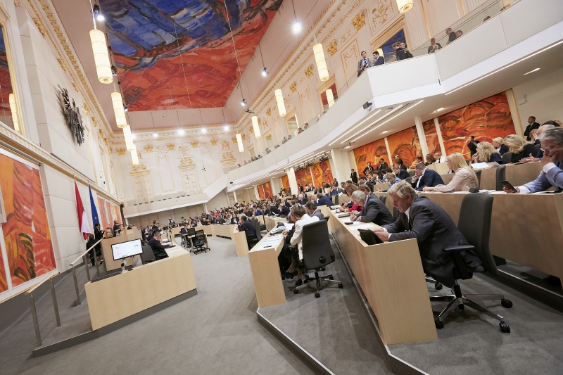 Nationalratsabgeordneter Kai Jan Krainer (S) bei der Begründung der Anfrage