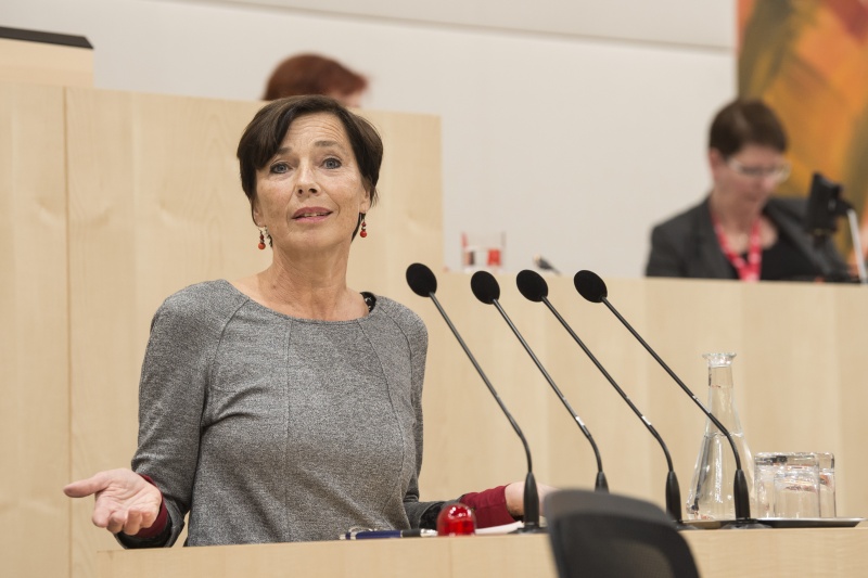 Am Rednerpult: Andrea Holz-Dahrenstaedt, Kinder- und Jugendanwaltschaft