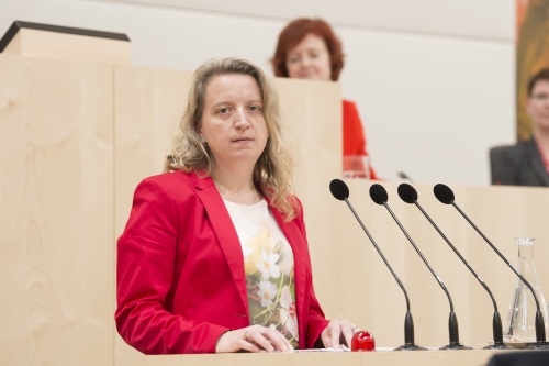 Am Rednerpult: Silvia Rosner-Böhm, Pflege- und Adoptiverlternverein Burgenland
