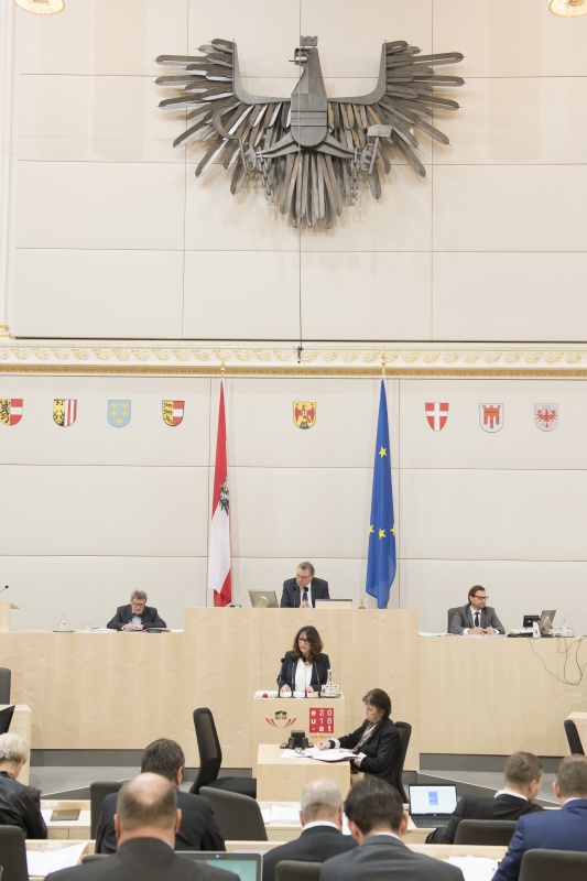 Am Rednerpult: Bundesrätin Elisabeth Mattersberger (V)