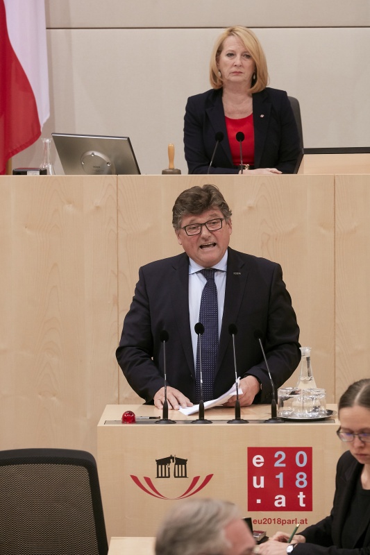 Nationalratsabgeordneter Rainer Leopold Wimmer (S) am Rednerpult