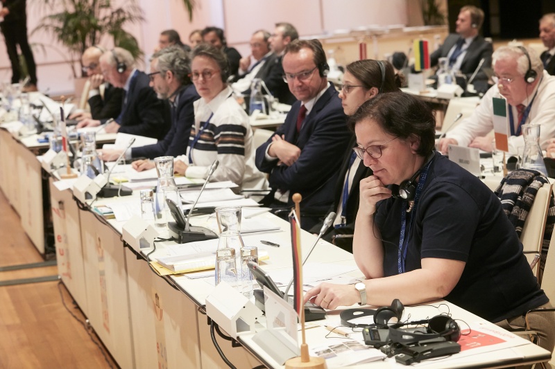 Meeting of the COSAC Chairpersons - Voting