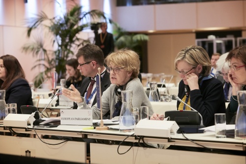 Meeting of the COSAC Chairpersons. Chair of the Committee on Constitutional Affairs, European Parliament Danuta Hübner speaking