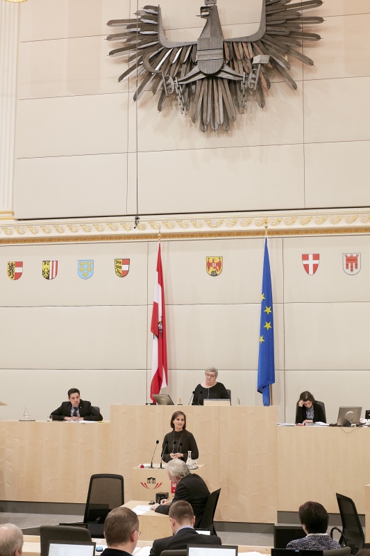 Bundesrätin Martina Ess (V)  am Rednerpult