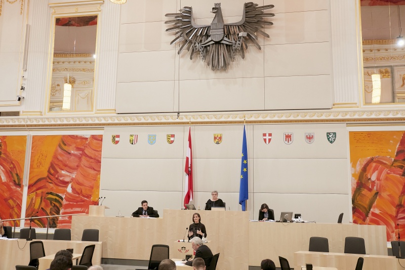 Bundesrätin Martina Ess (V)  am Rednerpult