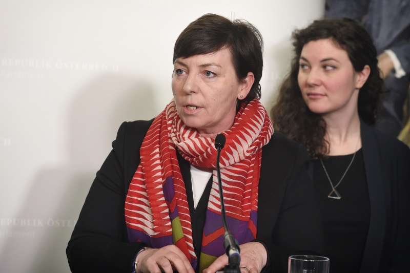 Vorsitzende des Vereins Wiener Frauenhäuser Martina Ludwig-Faymann