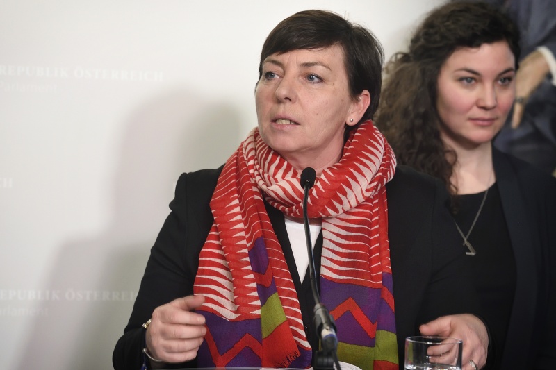 Vorsitzende des Vereins Wiener Frauenhäuser Martina Ludwig-Faymann